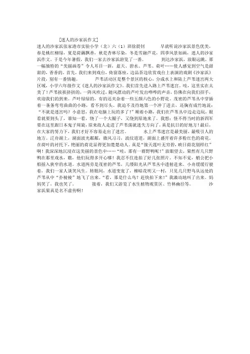 迷人的沙家浜作文
