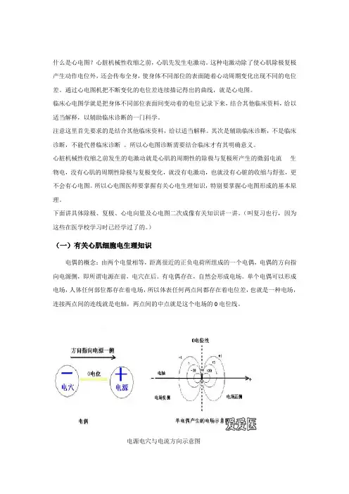 心电图,原理,电生理_副本