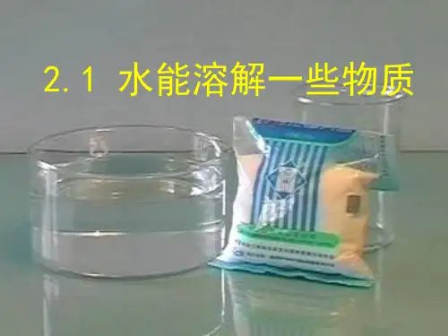 2.1水能溶解一些物质