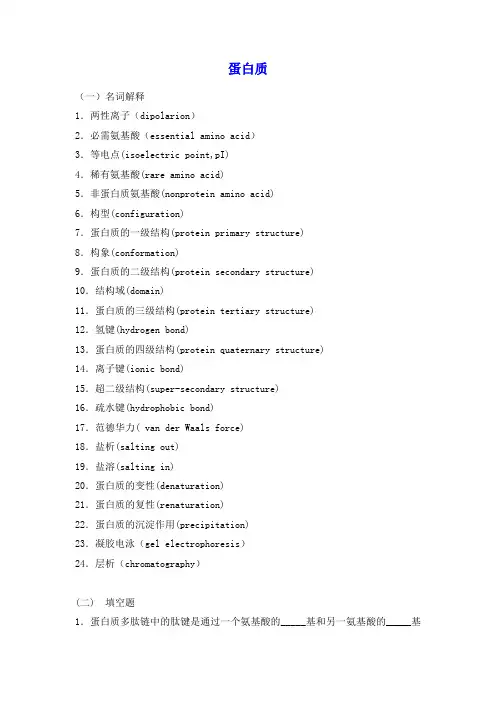 生物化学习题及答案_蛋白质