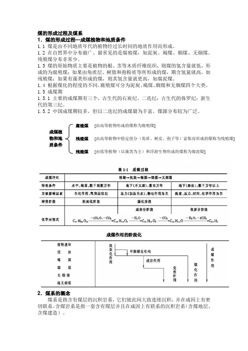 煤的形成过程及煤系