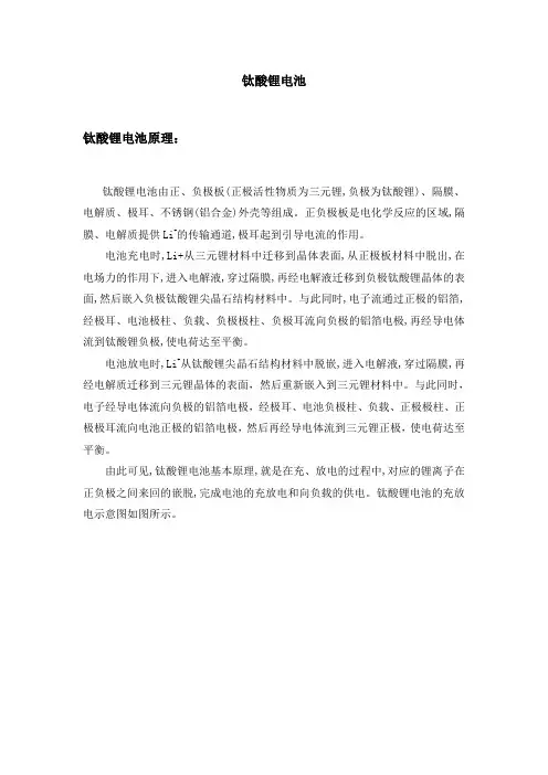 钛酸锂电池