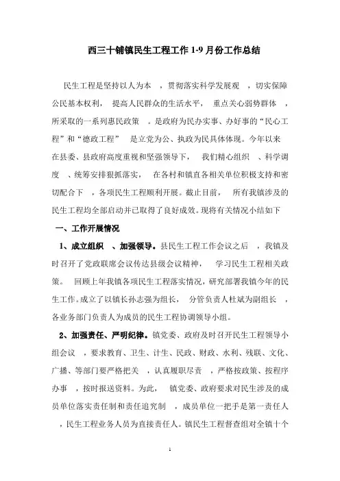 民生工程工作总结 2