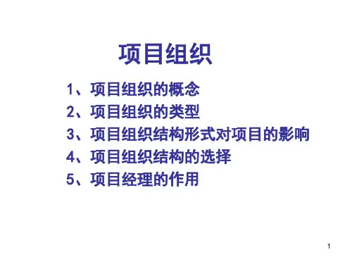 高级项目管理师—项目组织与团队建设