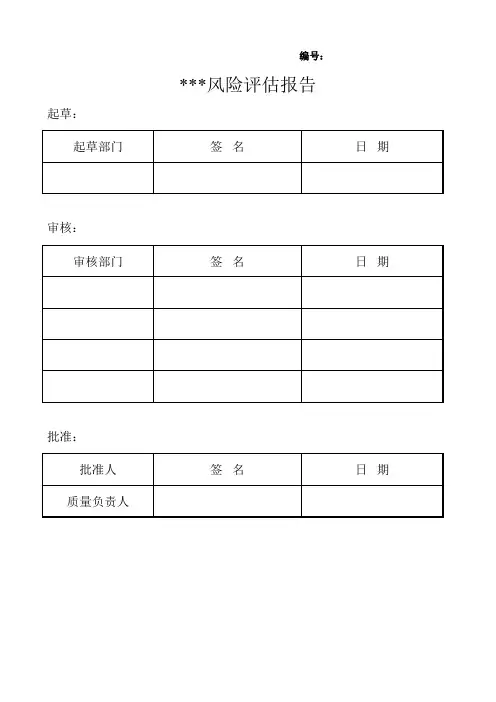 风险评估报告模板-1