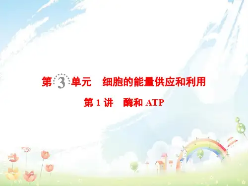高考生物一轮复习第3单元细胞的能量供应和利用第1讲酶和ATP课件