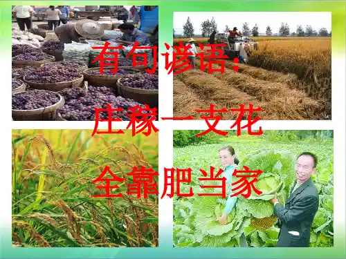 课题2化学肥料第一课时