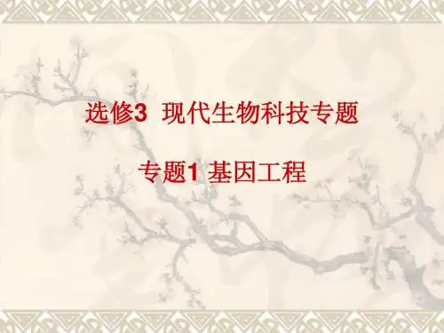 人教版·高中生物·选修3·专题1·基因工程(高三复习课件)