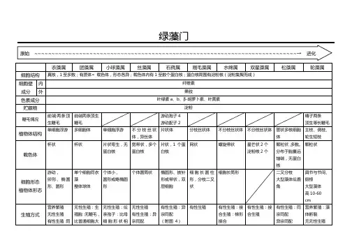 绿藻门