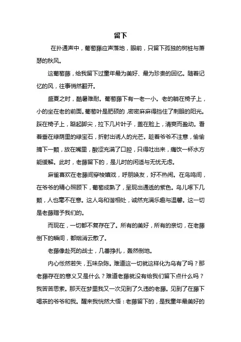 初二作文：留下作文700字