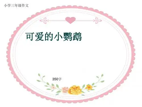 小学三年级作文《可爱的小鹦鹉》350字(共7页PPT)