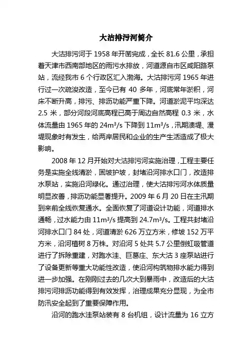 大沽排污河简介