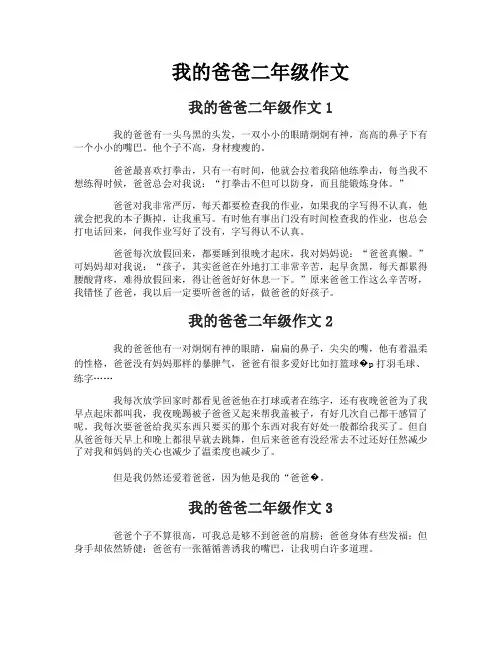 我的爸爸二年级作文