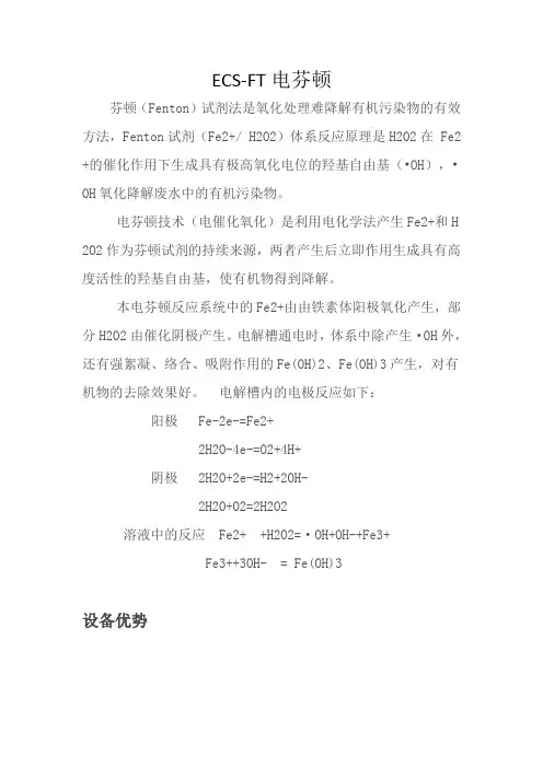烟台宜科ECS-FT电芬顿技术
