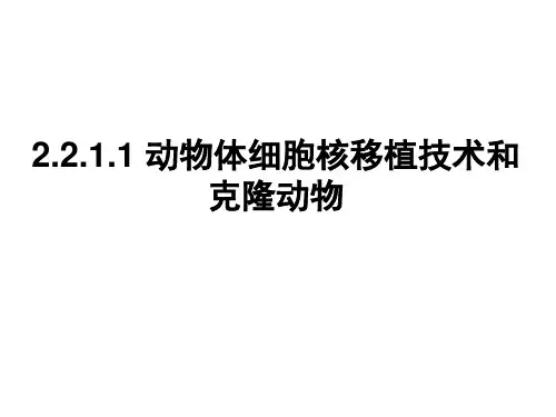 2.2.1动物体细胞核移植技术和克隆动物