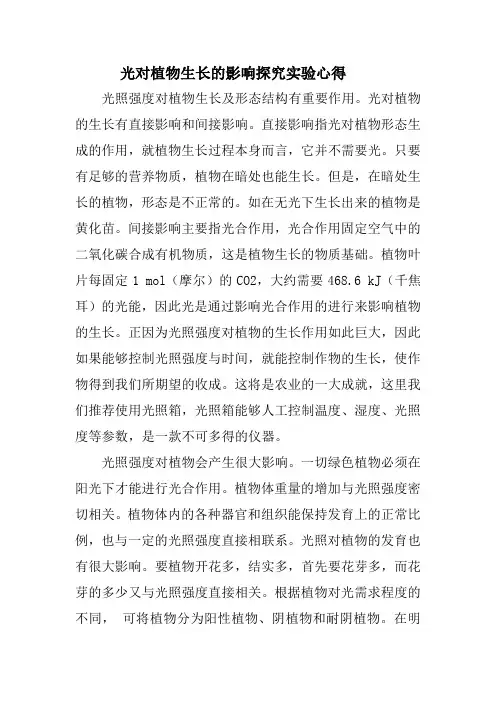 光对植物生长的影响探究实验心得