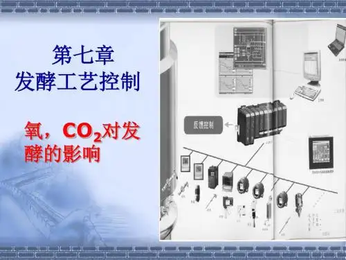 简明微生物工程_7.2发酵中间控制-溶氧