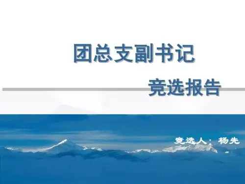 团总支副书记竞选报告PPT
