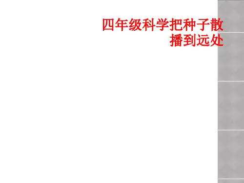 四年级科学把种子散播到远处