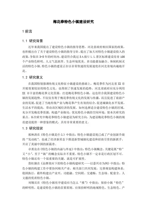 梅花拳特色小镇建设研究