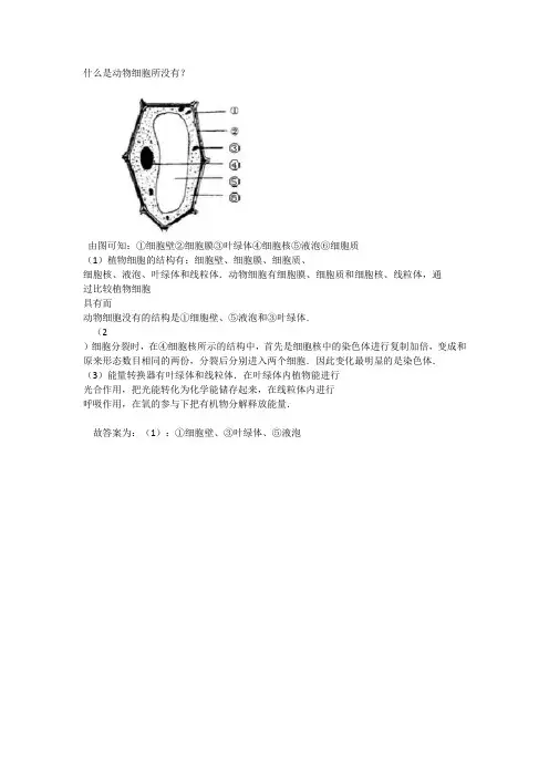 什么是动物细胞没有的
