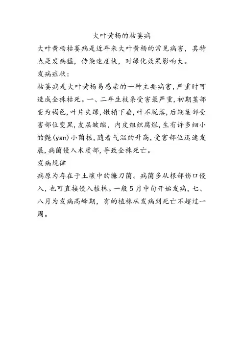 大叶黄杨的枯萎病