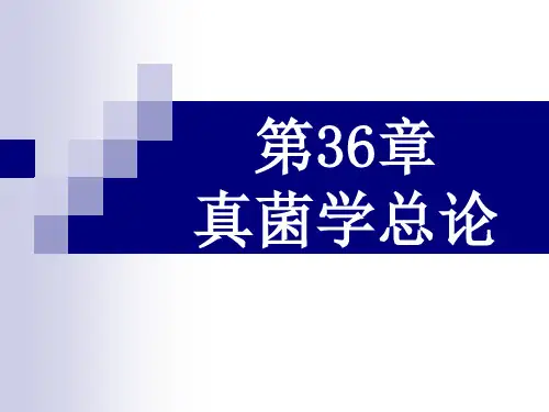 真菌学总论