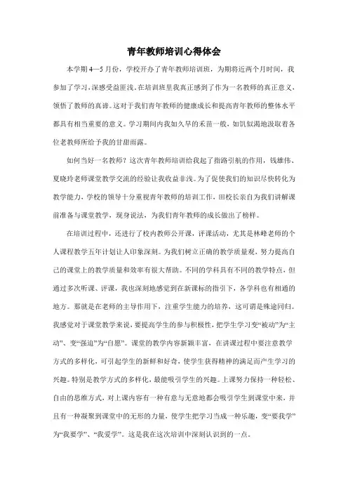 青年教师培训心得体会 2