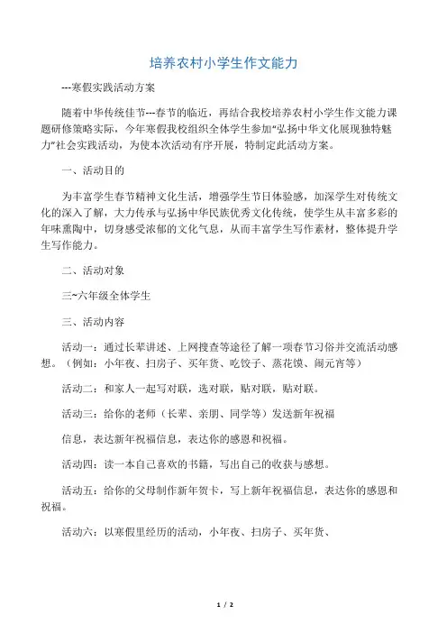 寒假实践活动方案