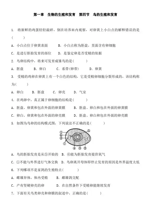 人教版生物八年级下册 第七单元 第一章 生物的生殖和发育  第四节 鸟的生殖和发育 同步练习及答案