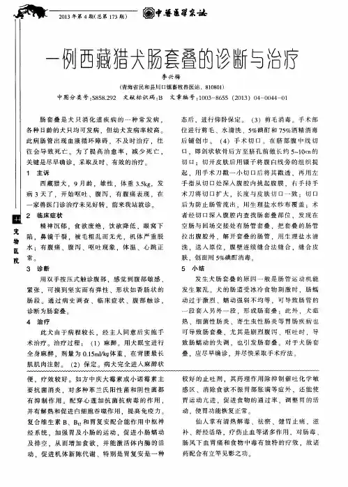 一例西藏猎犬肠套叠的诊断与治疗