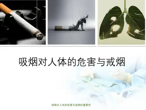 抽烟对人体的危害与戒烟的重要性