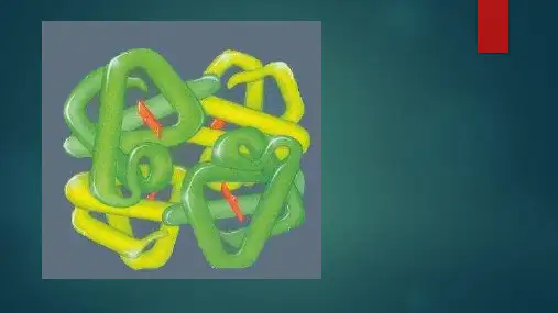 蛋白质protein介绍(英语演讲)
