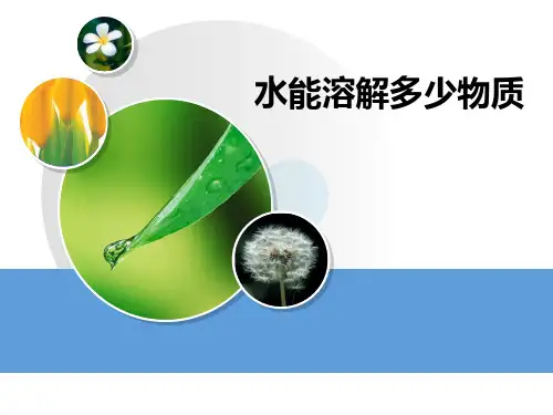 《水能溶解多少物质》PPT课件