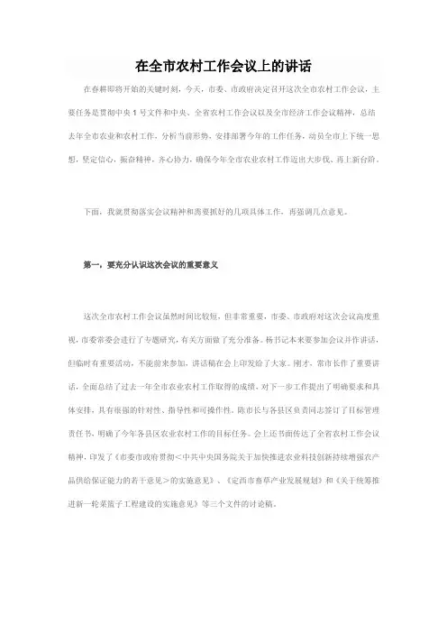 在全市农村工作会议上的讲话
