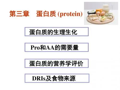 食物中的蛋白质介绍