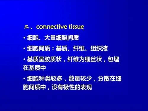 025结缔组织-PPT课件