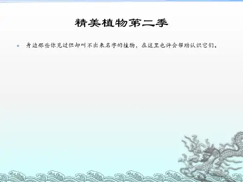 《植物图鉴第二季》PPT课件