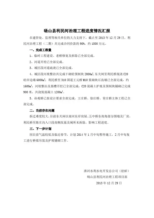 利民河治理工程(二期)工程进度情况汇报