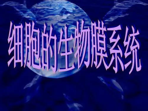 3.2生物膜系统