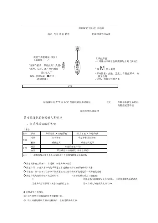 高中生物必修一4 5章精简知识点概念图表格等形式8页