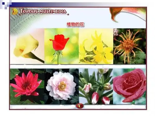 开花和结果