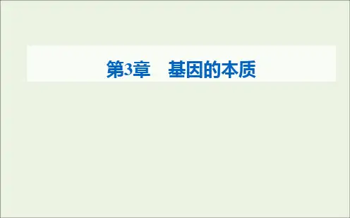 2021年新教材高中生物第3章基因的本质第3节DNA的复制课件新人教版必修2.ppt