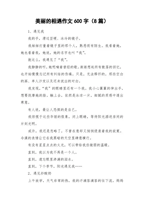 美丽的相遇作文600字(8篇)_作文