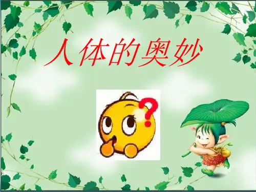 人体的奥妙