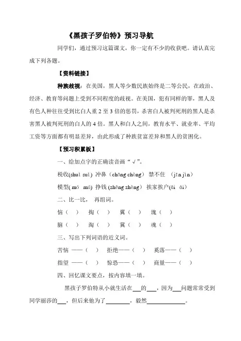 黑孩子罗伯特教案