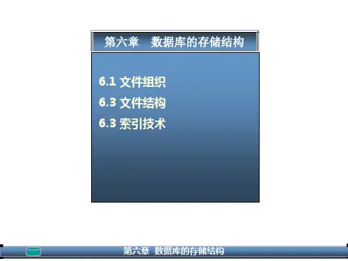 数据库系统：第六章  数据库的存储结构