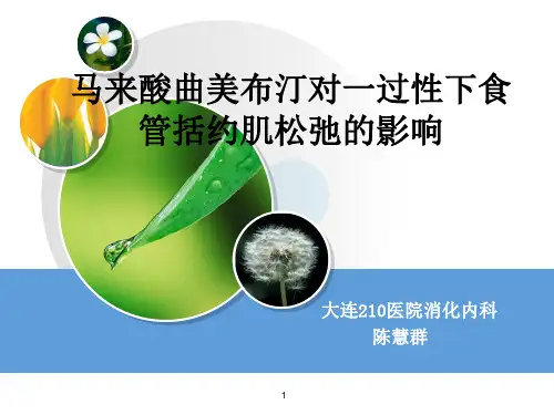 马来酸曲美布汀