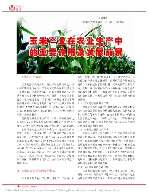 玉米产业在农业生产中的重要作用及发展前景