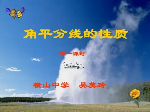 11.3角平分线的性质(一)